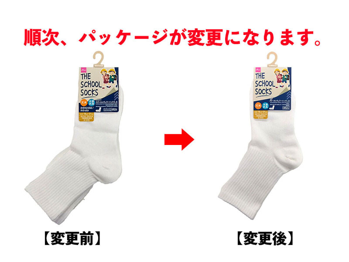 抗菌防臭スクールレギュラーソックス（19cm－21cm、白） -100