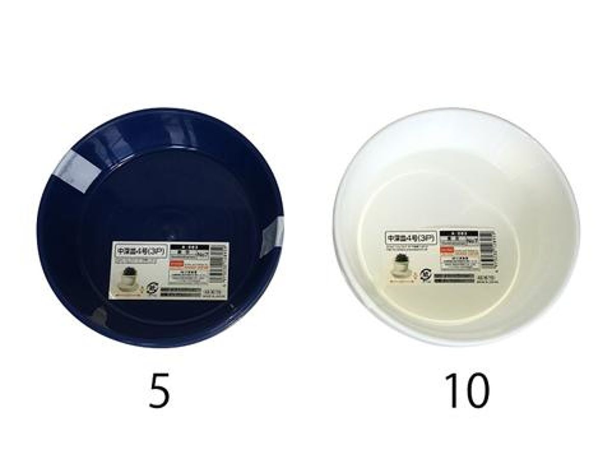 中深皿4号 3個組 φ12×高2．7cm -100均 通販 ダイソー