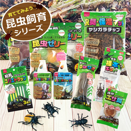 昆虫飼育
