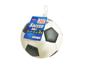 サッカーボール（２号）