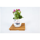 ウッドデッキパネル（２２．５ｃｍ×２２．５ｃｍ×２．５ｃｍ）