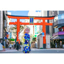 着せ替えフレンドエリーちゃんお洋服ふりそで