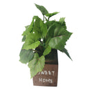 グリーンポット（ウッドケース）