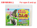 けずってみつける！こん虫スクラッチブック
