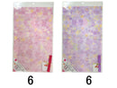 不織布ギフトバッグ（花柄）５０ｃｍ×３０ｃｍ