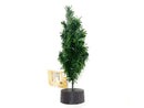 クリスマスヌードツリーー（２５ｃｍ）