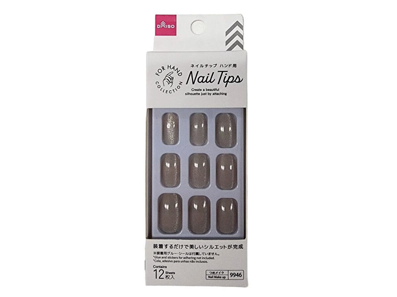 ネイルチップ（ハンド、マグネットベージュ） -100均 通販