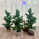 クリスマスヌードツリー（３５ｃｍ）３５ｃｍ