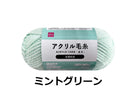 抗菌防臭アクリル毛糸（ミントグリーン）ミントグリーン×３５ｇ×１個入