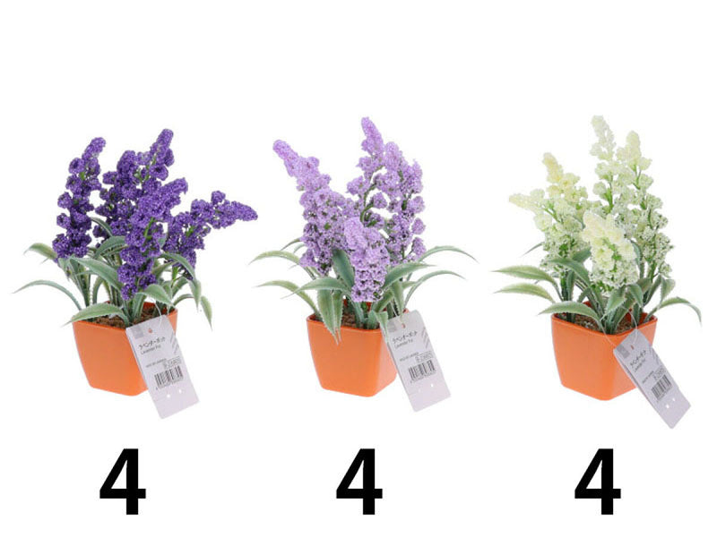 ラベンダーポット