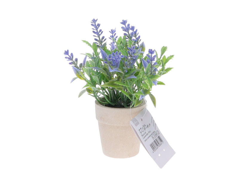 ナチュラルラベンダーポット