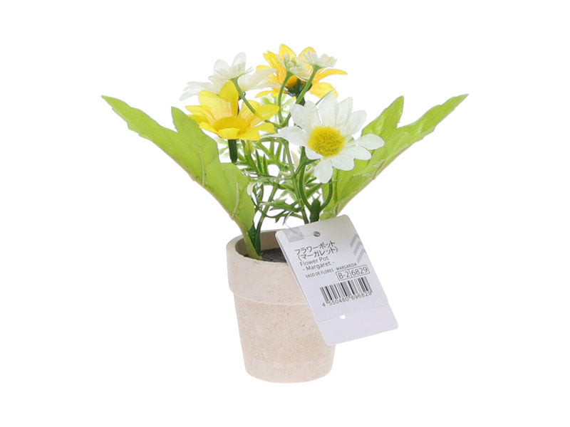 フラワーポット（マーガレット）