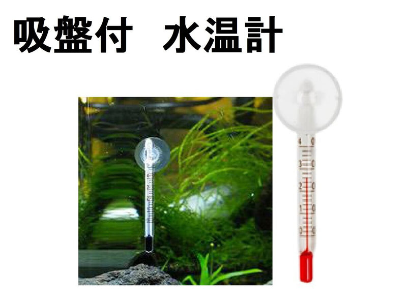 水槽用水温計（吸盤付）