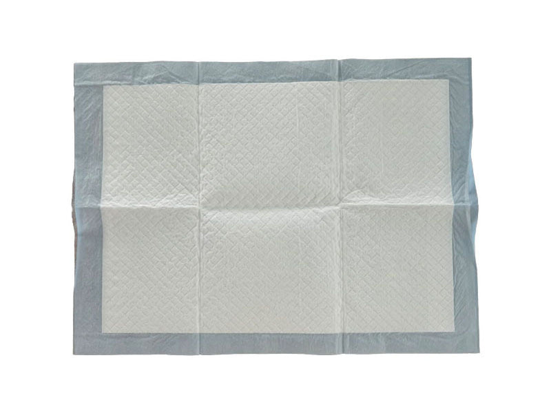 ペットシーツ（防臭、ワイド、４枚）