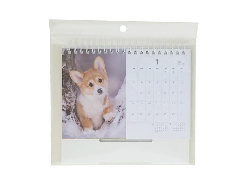 卓上Ｗリングカレンダー（Ｂ６、犬）なし