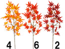 紅葉なし