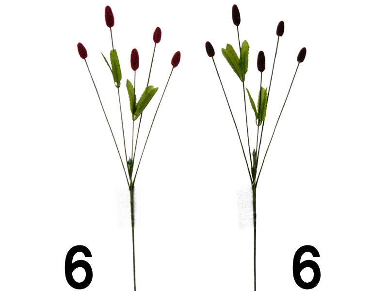 われもこうなし