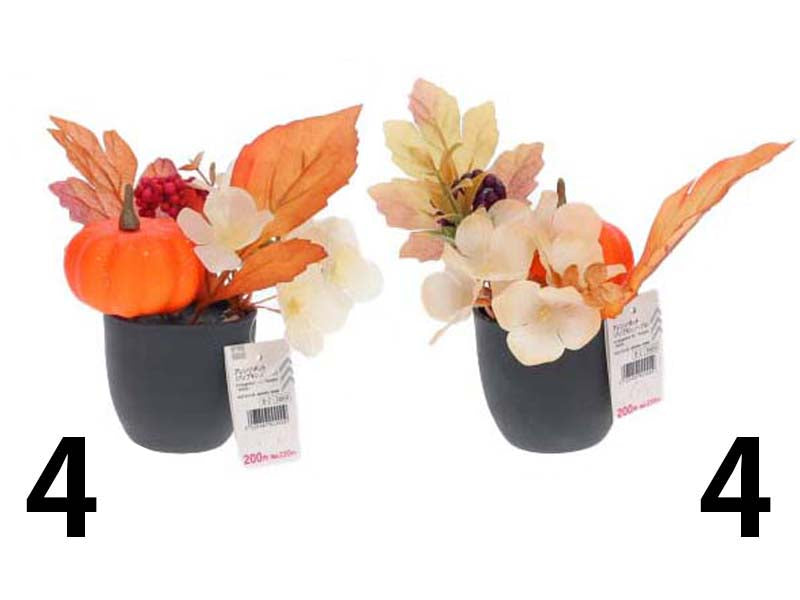 アレンジポット（パンプキン、ノーブル）なし