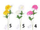 てまり菊