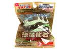 恐竜化石バスボール５５ｇ