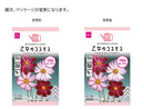 乙女のコスモスその他×１個入
