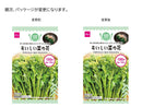 おいしい菜の花その他×１個入