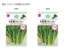 交配茎ブロッコリーその他×１個入