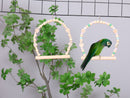 小鳥用ブランコ（中型インコ用）