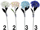 紫陽花