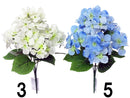 紫陽花ブッシュ