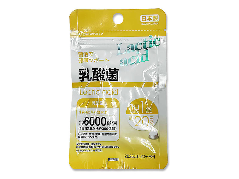 サプリメント　乳酸菌　２０粒　５ｇ×１個入