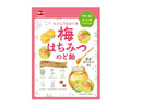 加藤製菓　梅はちみつのど飴　５８ｇ５８ｇ×１個入