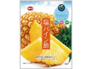 加藤製菓　塩パイン飴　５８ｇ５８ｇ×１袋入