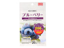 サプリメント　ブルーベリー　２０日分（２０粒）　その他×１個