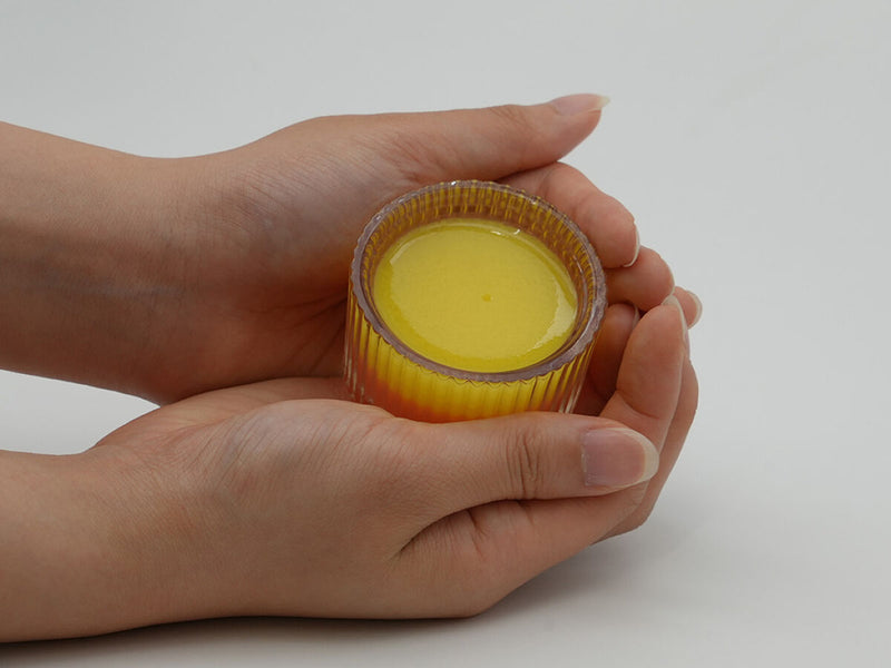 ふしぎな実験キット　てづくりゼリー芳香剤