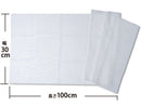 ガーゼ（３０ｃｍ×１００ｃｍ、２枚、綿１００％）３０ｃｍ×１００ｃｍ