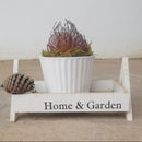 素焼き植木鉢（ストライプ）