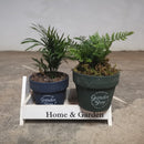 素焼き植木鉢（11.3×9.0cm）