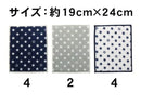 吸水マット（スター、約19cm×24cm、2枚）