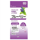 サプリメント　ブルーベリー　２０粒